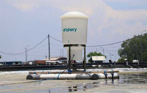 HSBC berikan pinjaman US$30 juta ke eFishery